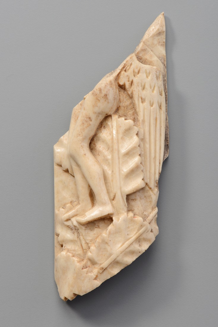 Drožinėta kaulinė plokštelė