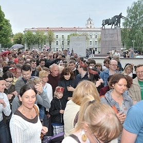 Valstybės dienos proga Valdovų rūmai plačiai atveria duris