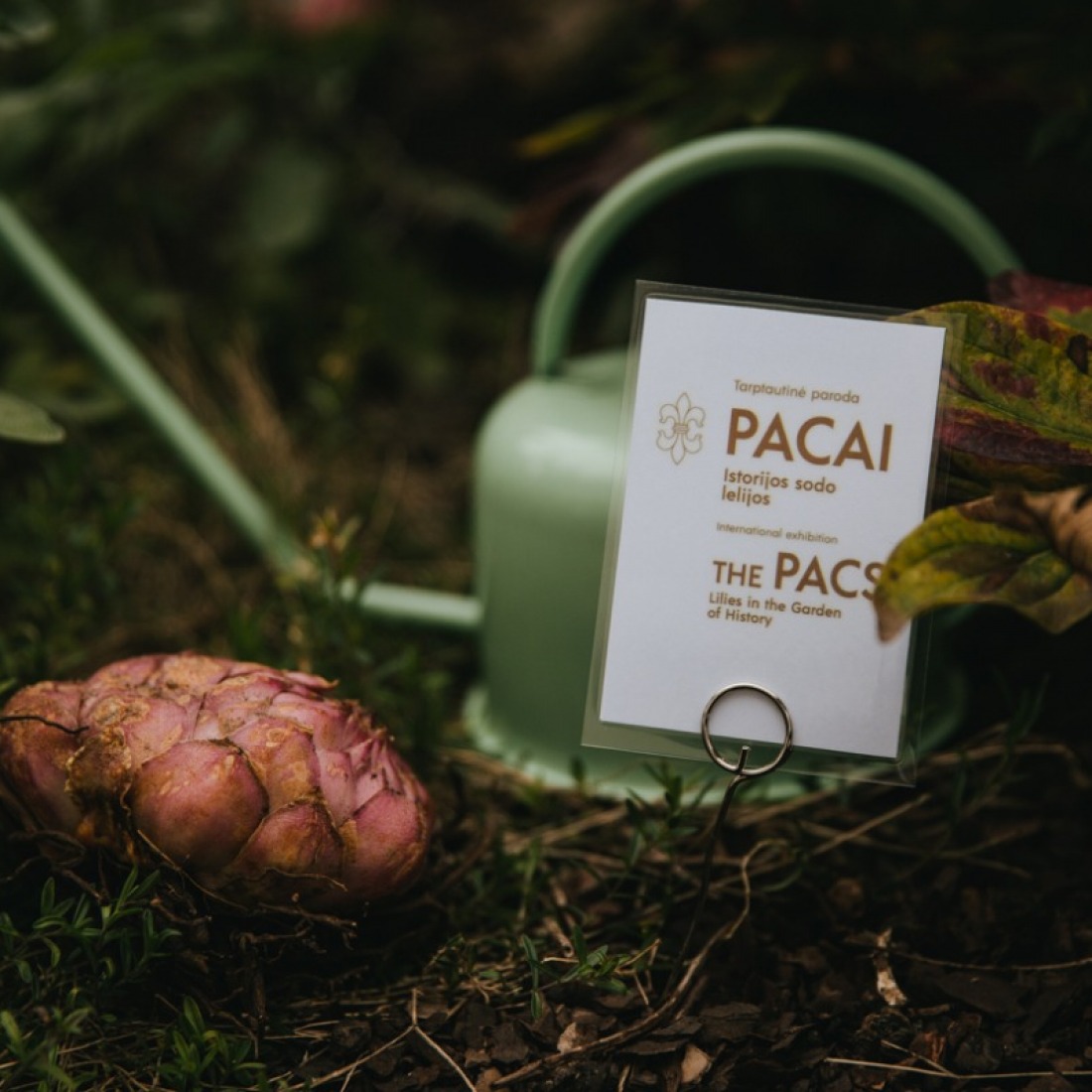 Exhibition on the History and Heritage of the Pacs Family Opens at the National Museum – Palace of the Grand Dukes of Lithuania