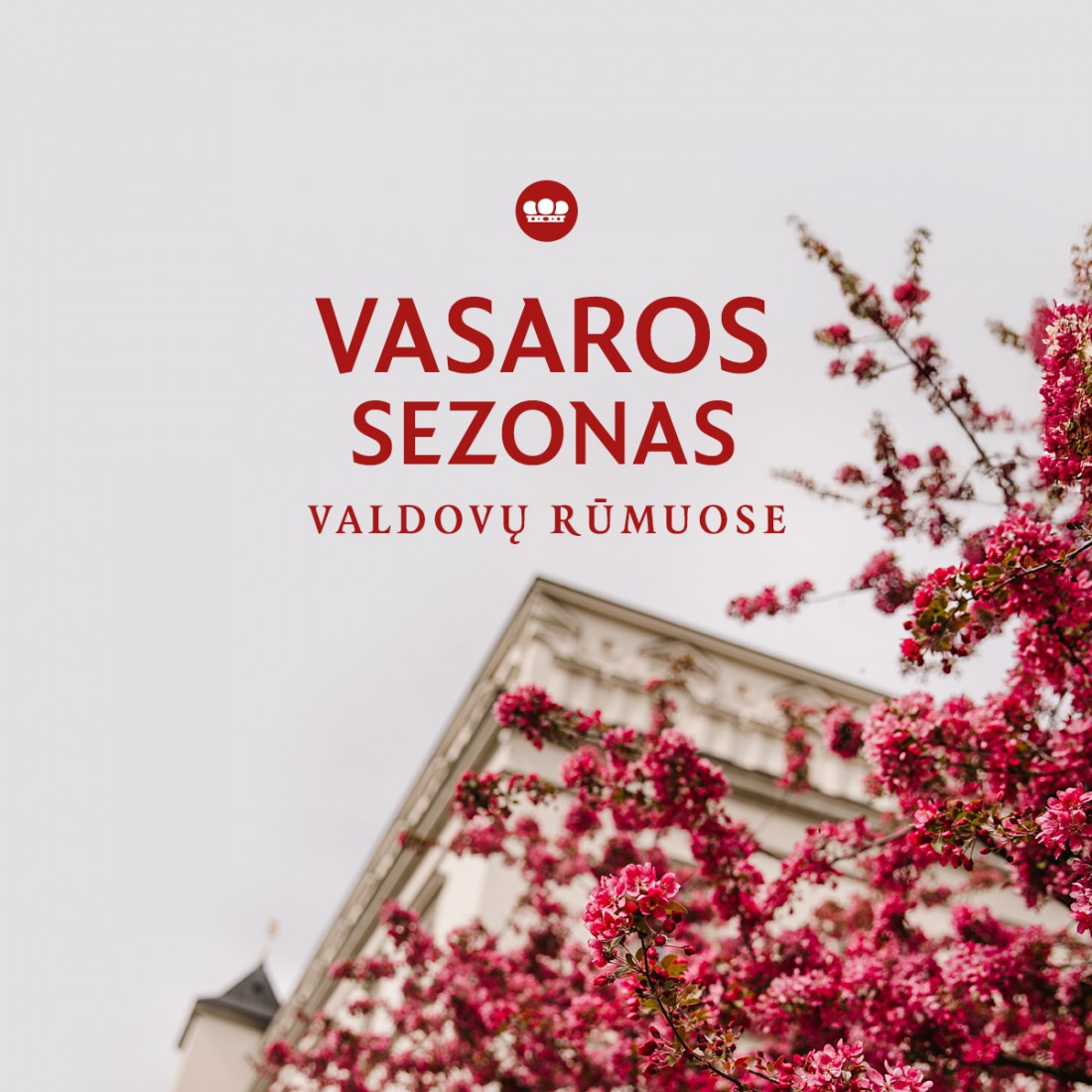Birželio 1 ir 2 dienomis Valdovų rūmų muziejus bus uždarytas. Birželio 3-ąją pradėsime vasaros sezoną!
